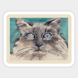 Longhair gray kitty with blue eyes Sticker